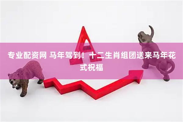 专业配资网 马年驾到！十二生肖组团送来马年花式祝福