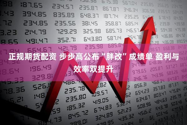 正规期货配资 步步高公布“胖改”成绩单 盈利与效率双提升